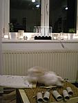 Rasender Luis vor besinnlicher Weihnachtsbeleuchtung :)