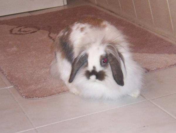 Bild 040