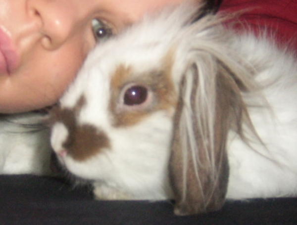 Bild 045