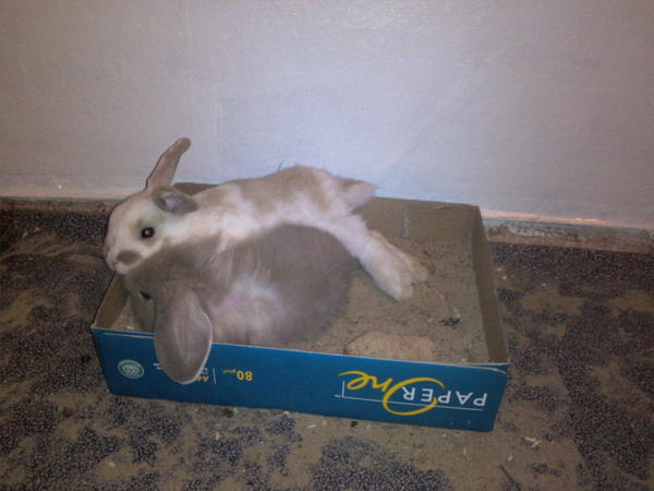 Kuscheltime