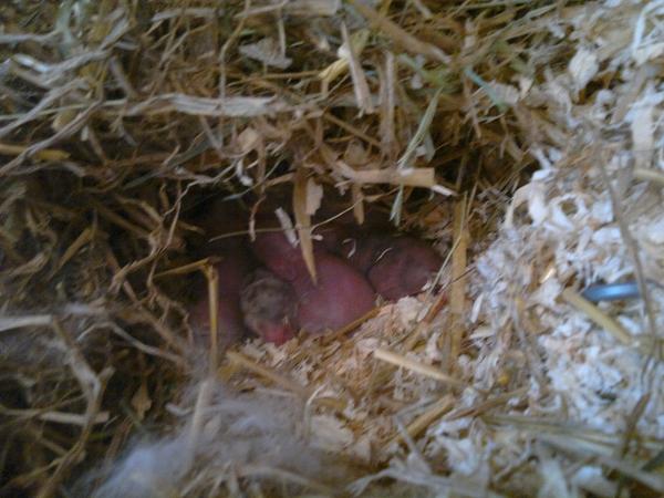 2 Tage jung :)
