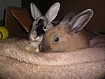 beim Kuscheln :)