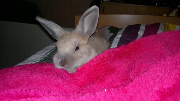 flauschig :)