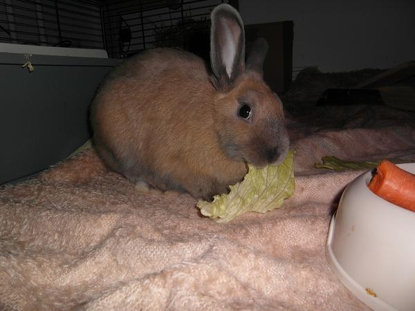 yummie :)