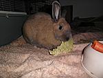 yummie :)