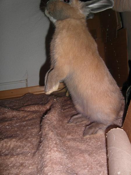 soooo gro� bin ich schon :)
