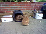 Peanut: Mein Transportboxdingens! 
Fame:Teilen!! :(