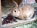 Fame: Huhu 
Peanut: Nicht in die Kamera sehen,es sind Paparazi!!