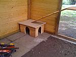 IMG 0145
