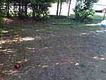 IMG 0085