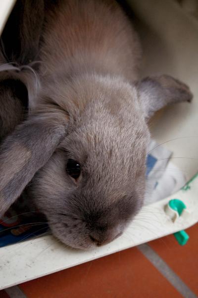 IMG 1027