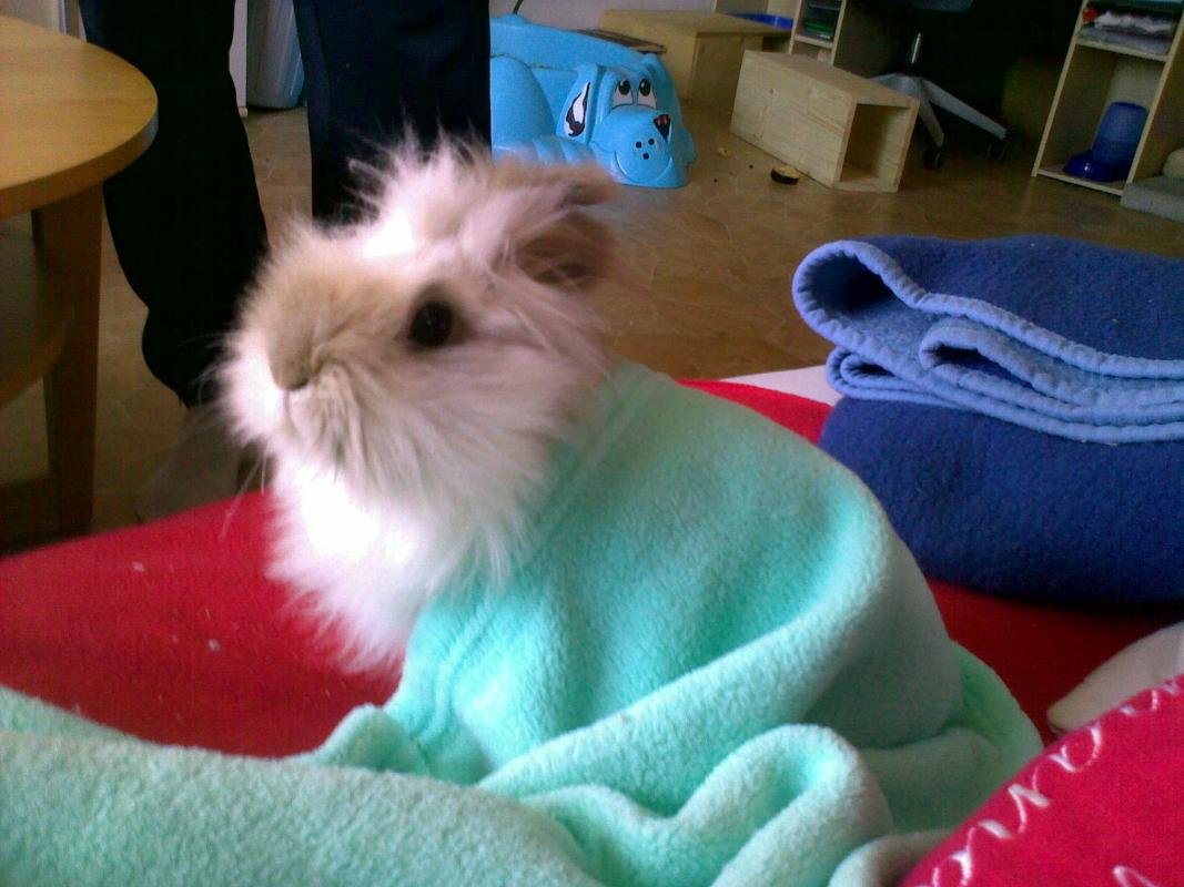Und sie liebt Decken :)