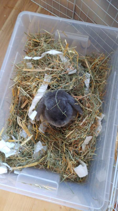 2020 09 22 Buddelbox
