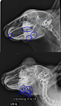 r�ntgen4