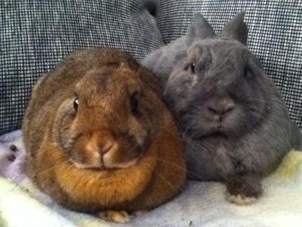 Maya & Robbie <3