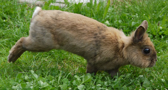 Baxi *2005 +22.6.2011