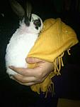 CHIKO <3