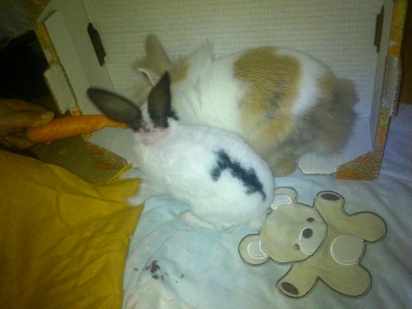 LUCY UND CHIKO <3