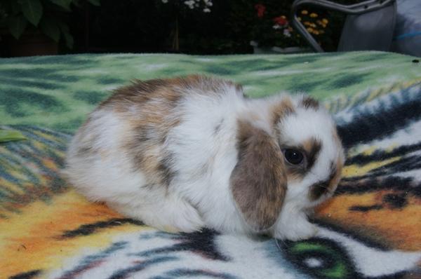 lucy beim fotoshoting :D