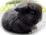 Sam als Baby
