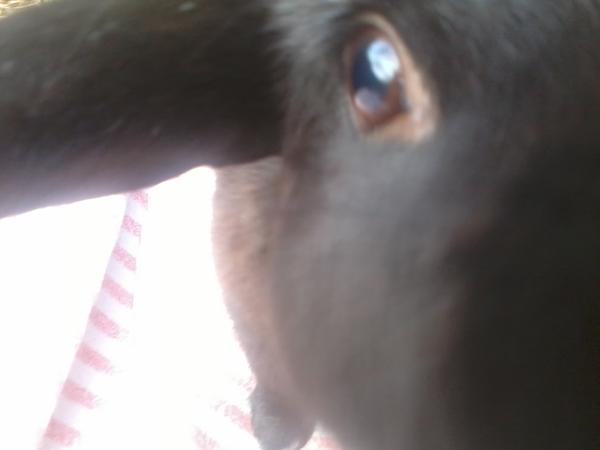 Sam ist immernoch camerageil xD