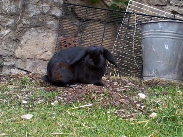 *bl�d guck*