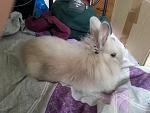 20140303 120625
