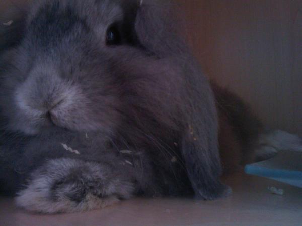 Mein Lieblings Bild ♥