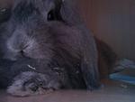 Mein Lieblings Bild ♥