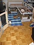 IMG 3072