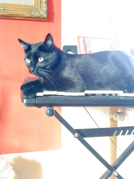 Billy