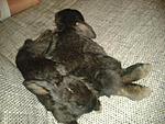 Kuschelzeit! - Mya & Balou.