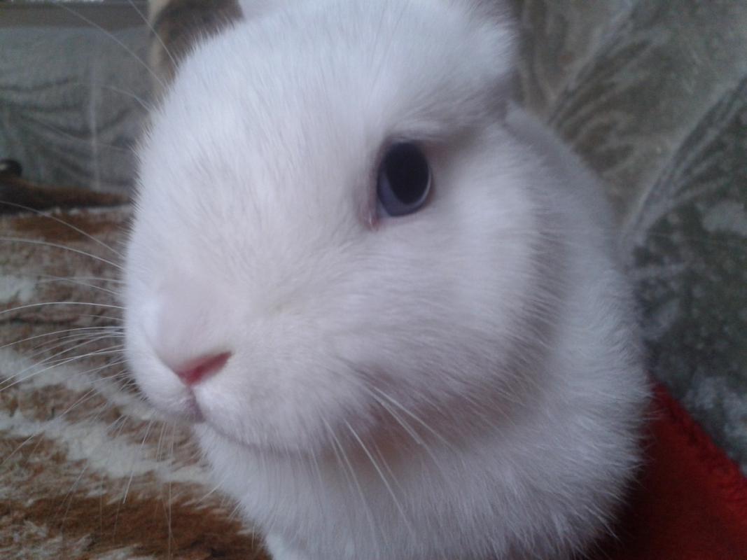 Coco :)