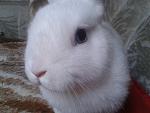 Coco :)