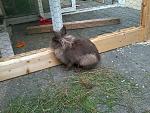 Meine Schoki :)