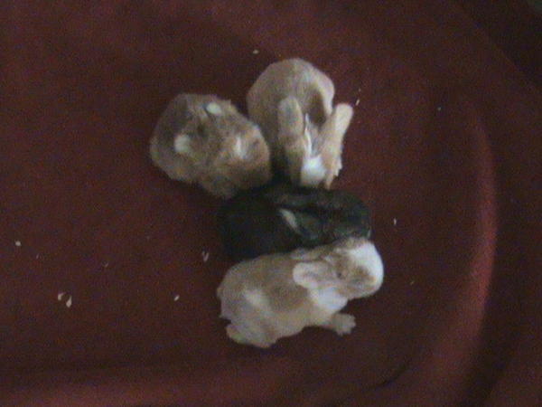 DSC00151