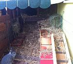 Paulchen und Blackdream 
 
dies ist nur ein �bergangsgehege bis das neue Kaninchenhaus fertig gebaut ist. 
In die andere Richtung geht es weiter so...