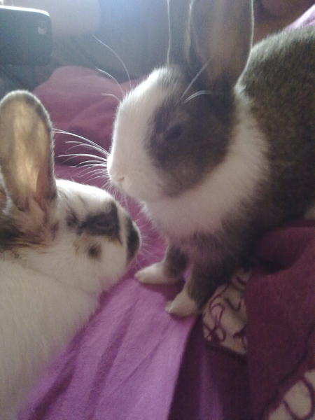 das war der erste Tag mit denen :) 
Dylan & Shane <3