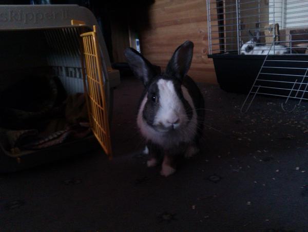 Shane :) mein Teufel <3