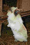 Clara macht M�nnchen