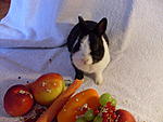 Sid beim Fotoshooting  ;) 
"was will die von mir?"