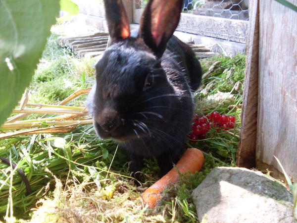 Oreooooo;*