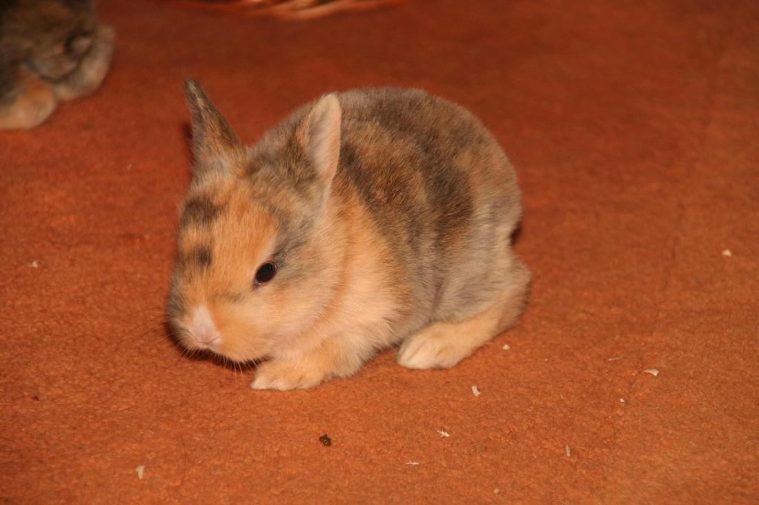 Paule als Baby