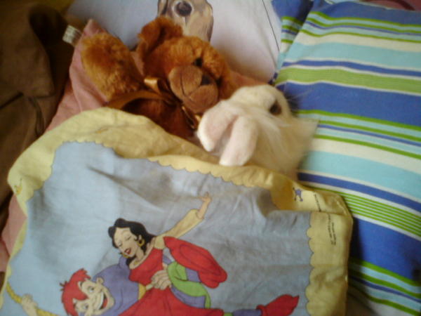 simba und sein teddy
