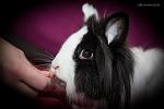 Mr. Floppy und JayJay
