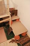 IMG 3557