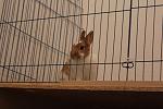 IMG 3561
