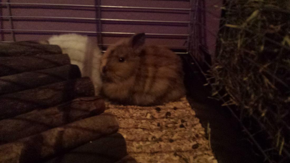 meine liebste Lacey. :)