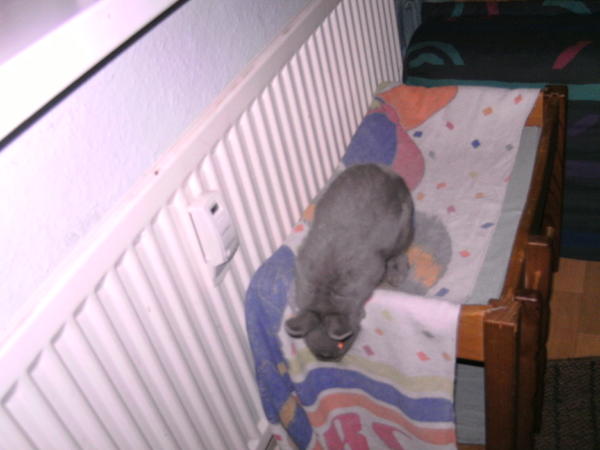 hallo ist da jemand