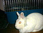 Unsere geliebte Niki